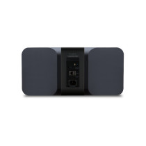 Bluesound Pulse