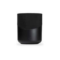 Bluesound Pulse M