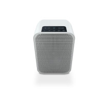 Bluesound Pulse Flex